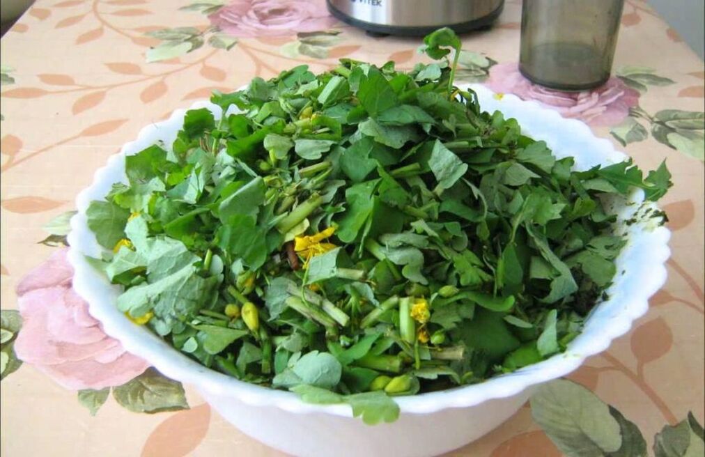 Celidonia schiacciata per preparare un unguento antifungino
