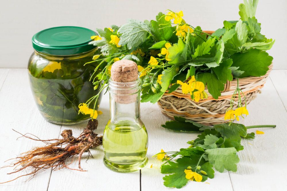 Olio e decotto di celidonia per combattere l'onicomicosi